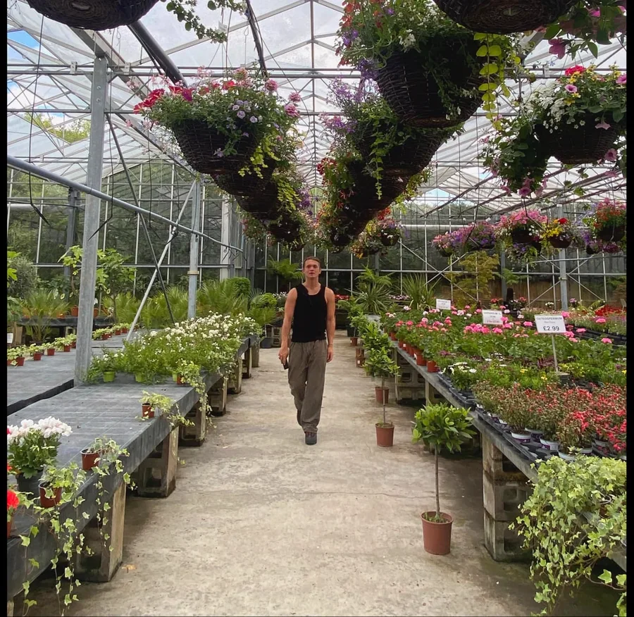 TUMANIC walking down the centre aisle of a glasshouse, hanging baskets of flowers overhead and benches of potted plants either side.